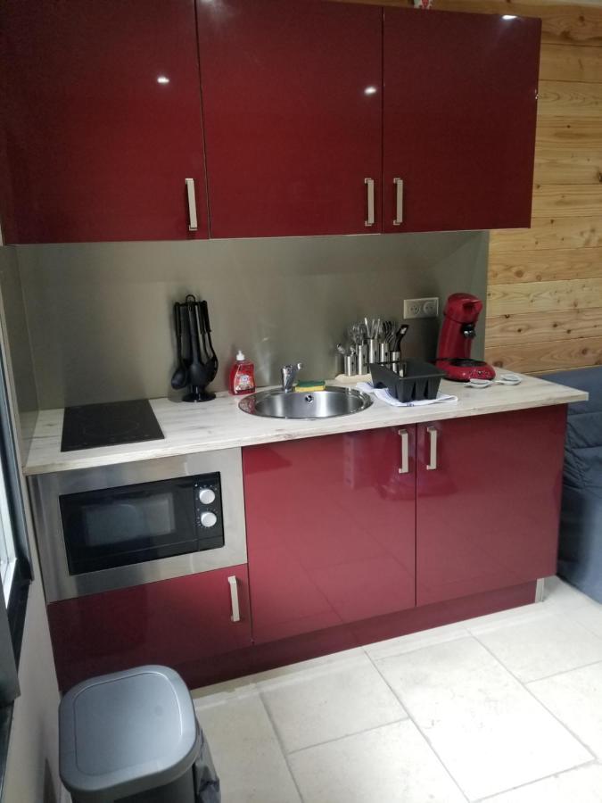 Studio Cosi Proximite Auron Saint-Étienne-de-Tinée 外观 照片